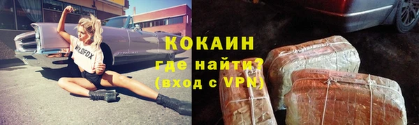 трава Арсеньев
