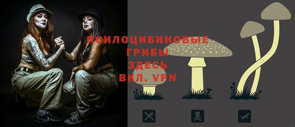 скорость Алзамай