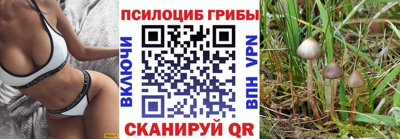 гидра   даркнет сайт  Змеиногорск  Галлюциногенные грибы Magic Shrooms 